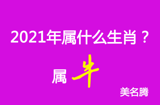 2021年屬什么生肖？2021年屬牛