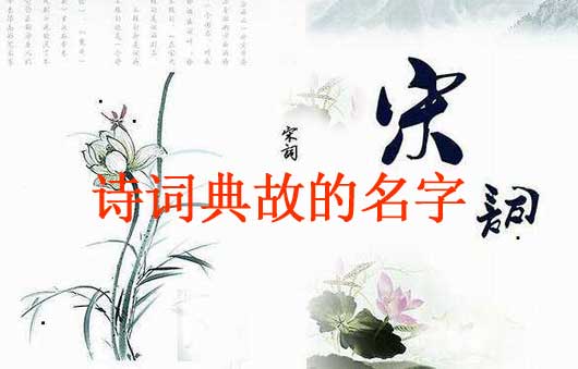 牛寶寶詩(shī)詞典故的名字